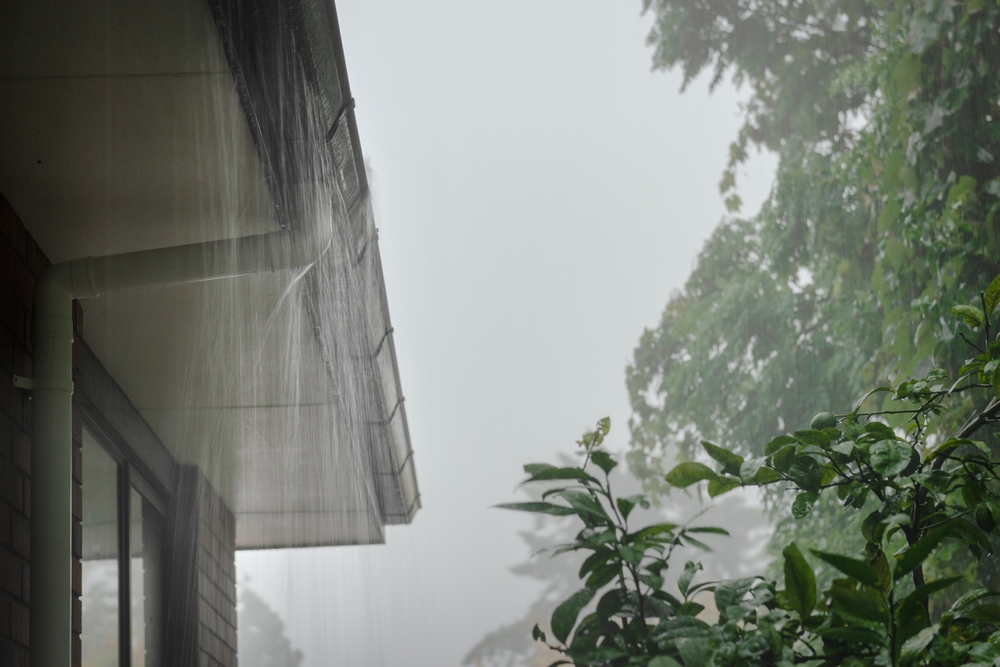Gutter Cleaning Services