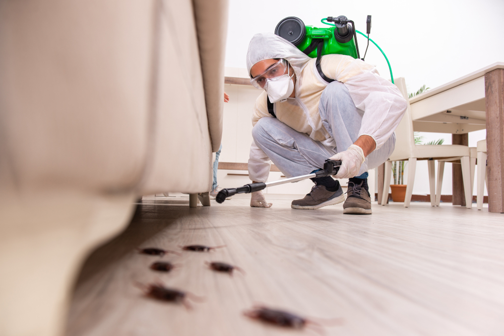 Pest Control and Prevention