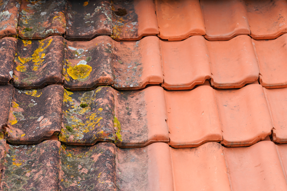 Roof Repairs and Spraying Services Before and After