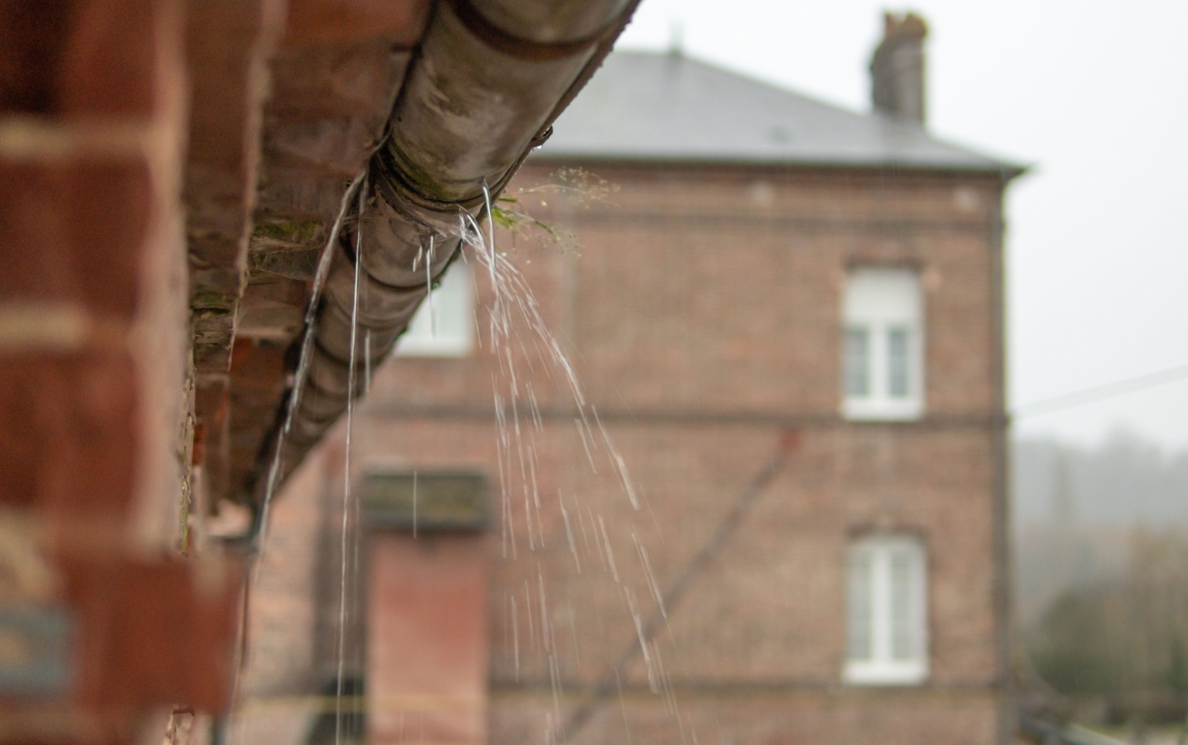 Gutter Maintenance Randburg