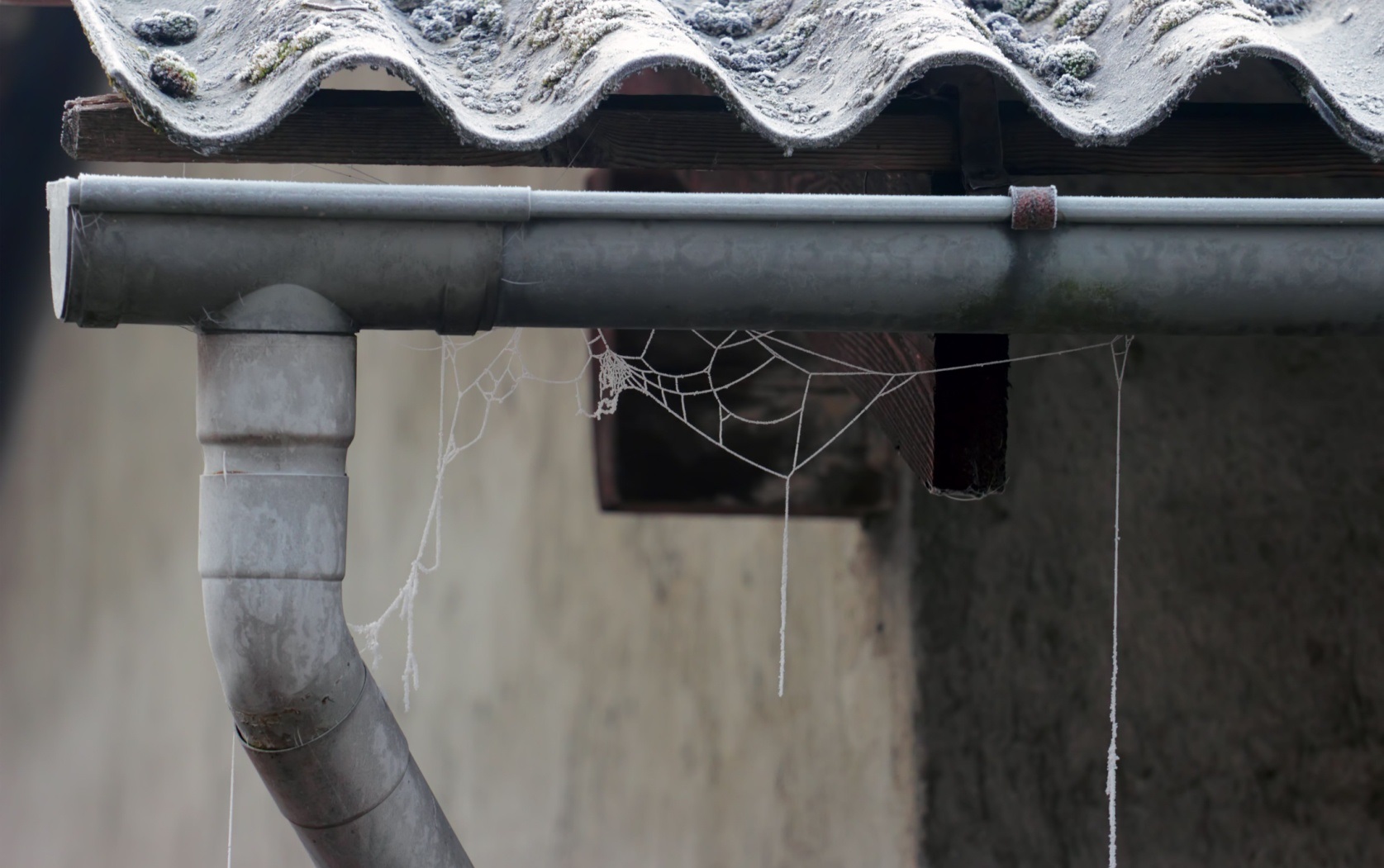 Gutter Maintenance Wilropark